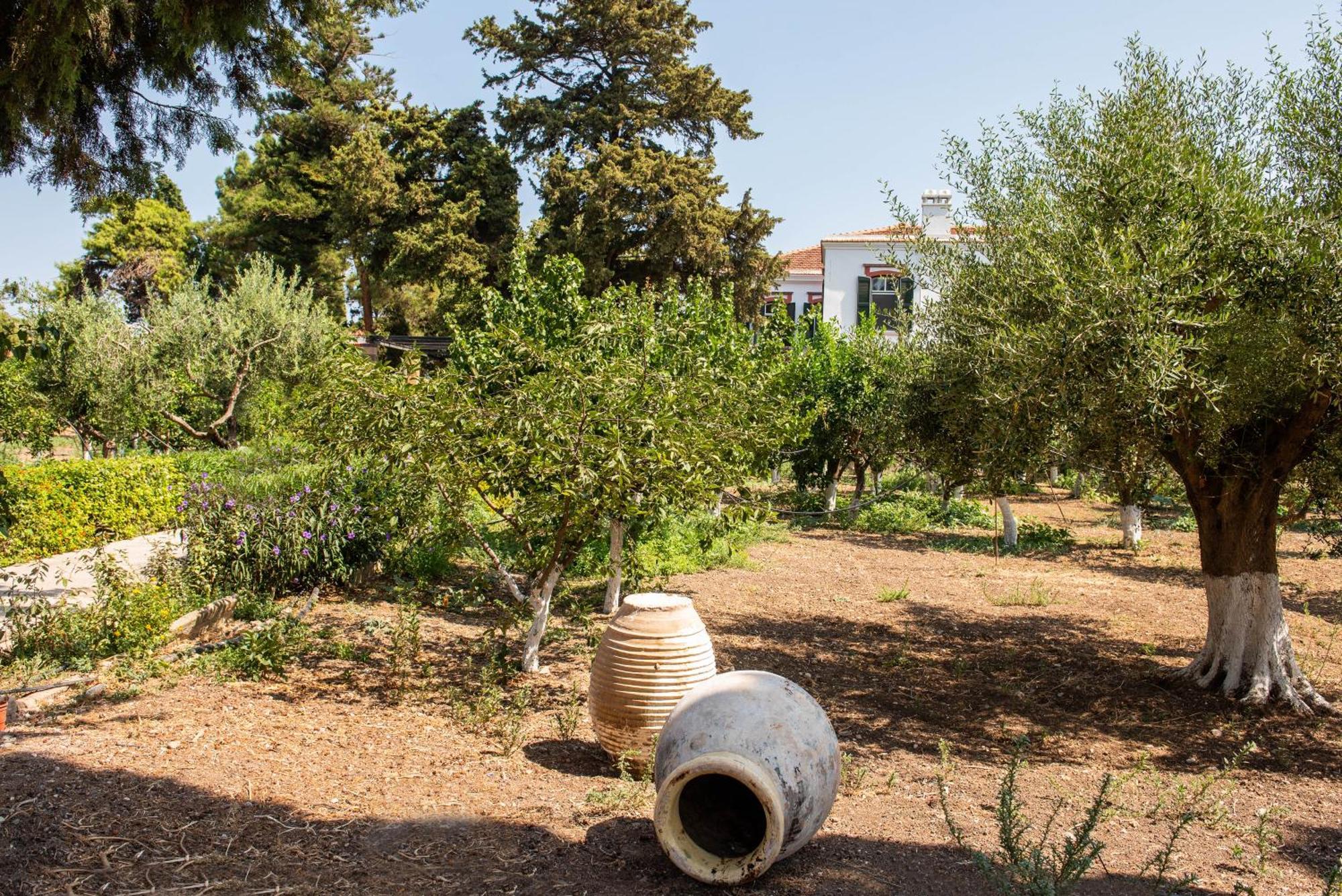Calvocoressi Estate Chios Town Exteriér fotografie
