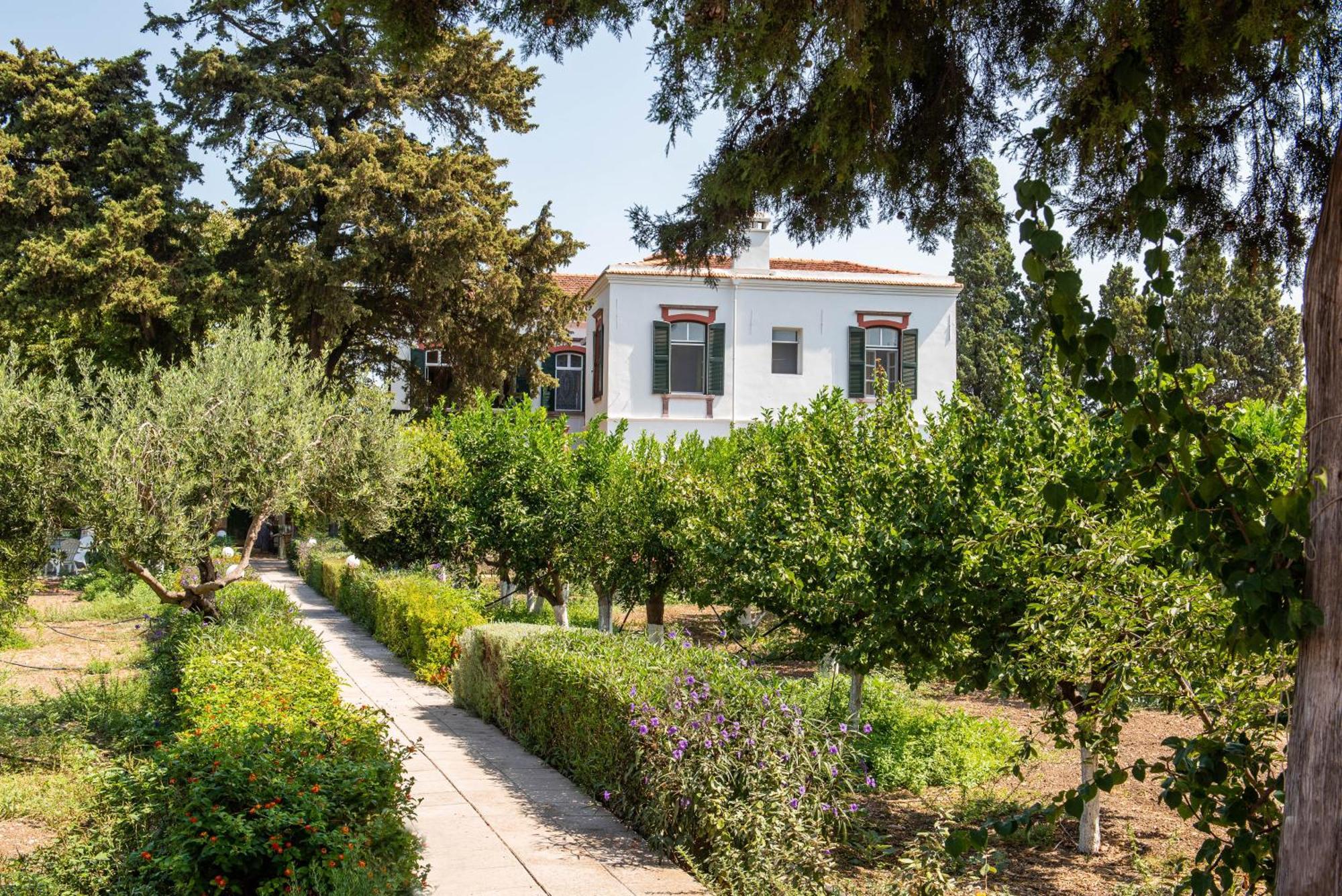 Calvocoressi Estate Chios Town Exteriér fotografie